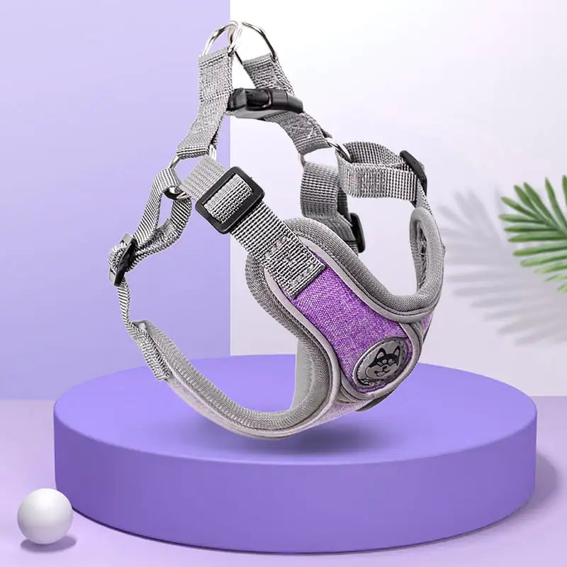 Pet Harness and Leash Set for Small to Medium Dogs