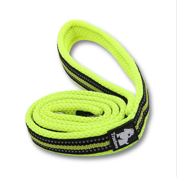 Pup Adventure Nylon Leash