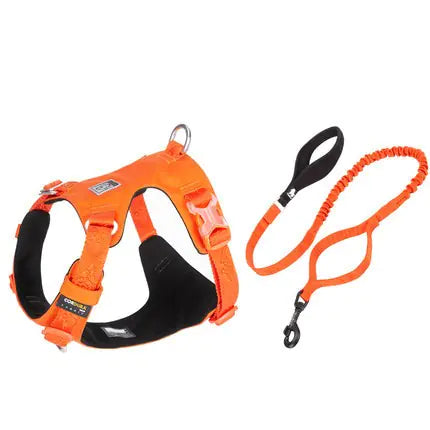 ComfortMax Large Dog Harness & Leash