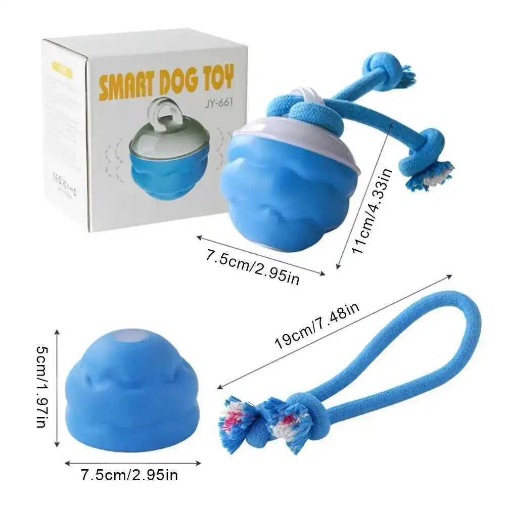 Dog Training Puppy Chew Toy Balls