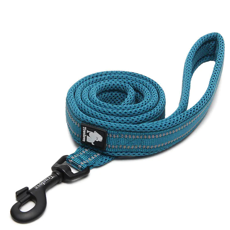 Pup Adventure Nylon Leash