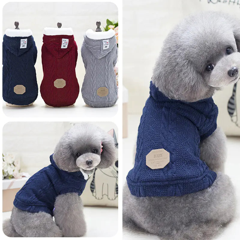 Cozy Coral Fleece Pet Outfits