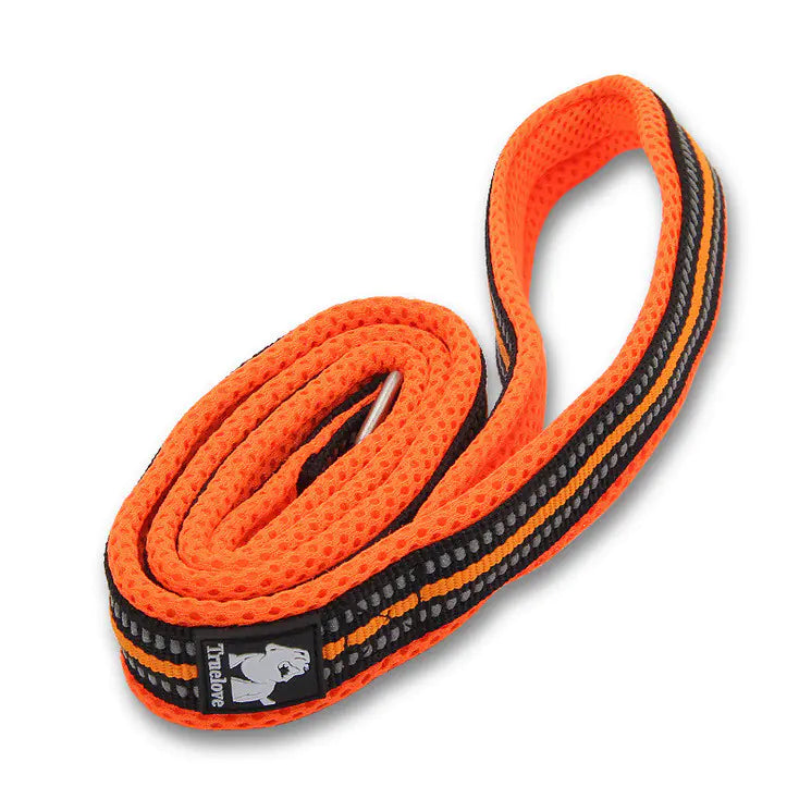 Pup Adventure Nylon Leash