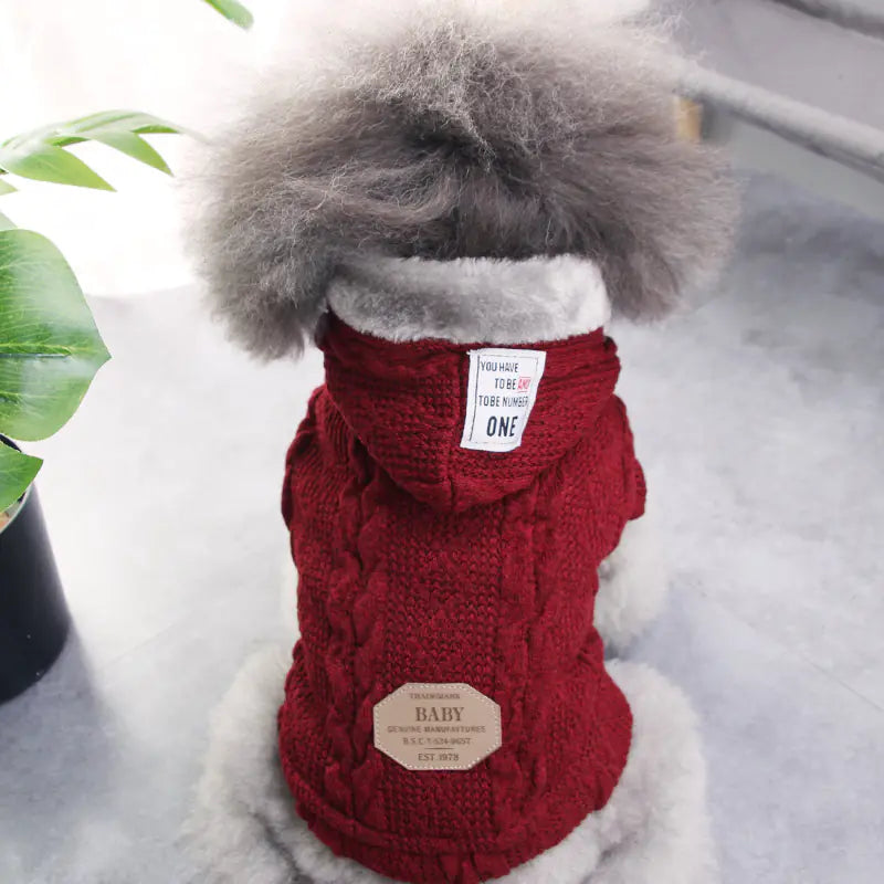 Cozy Coral Fleece Pet Outfits
