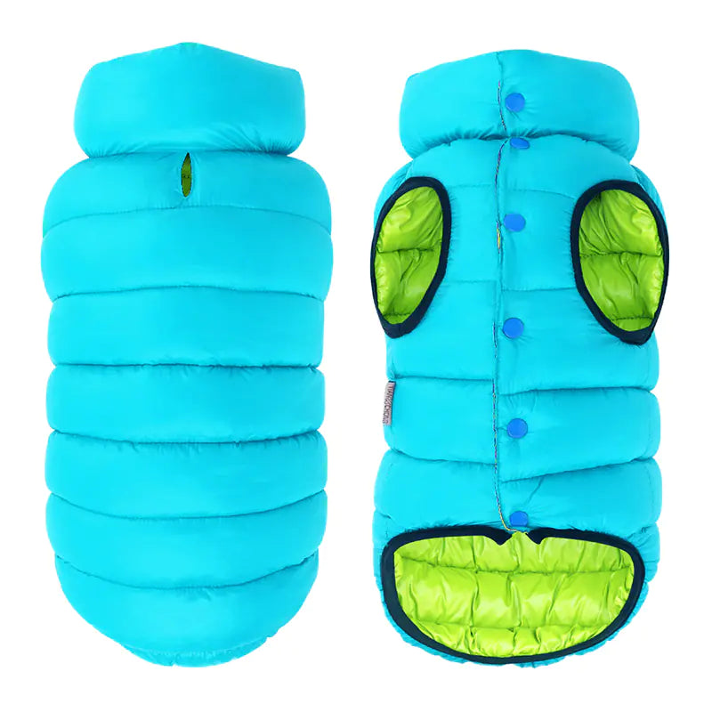 Chic Pet Outfits for All Sizes