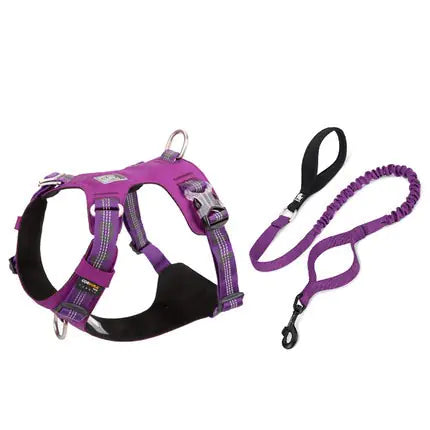 ComfortMax Large Dog Harness & Leash