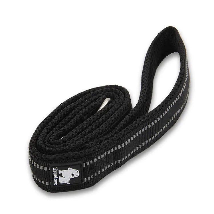 Pup Adventure Nylon Leash