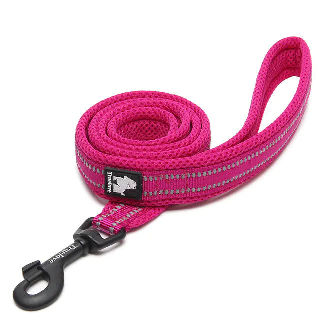 Pup Adventure Nylon Leash
