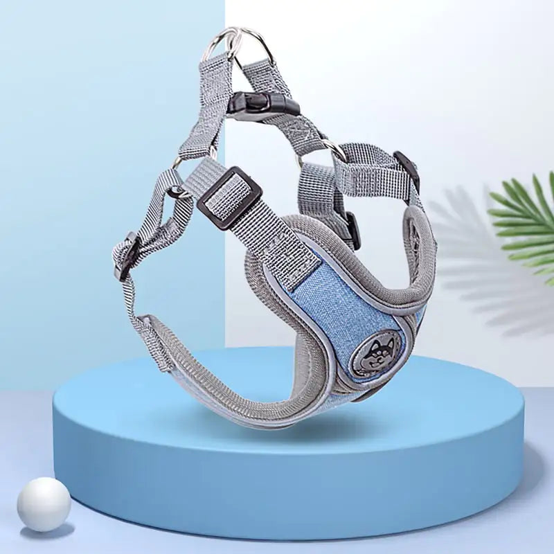 Pet Harness and Leash Set for Small to Medium Dogs