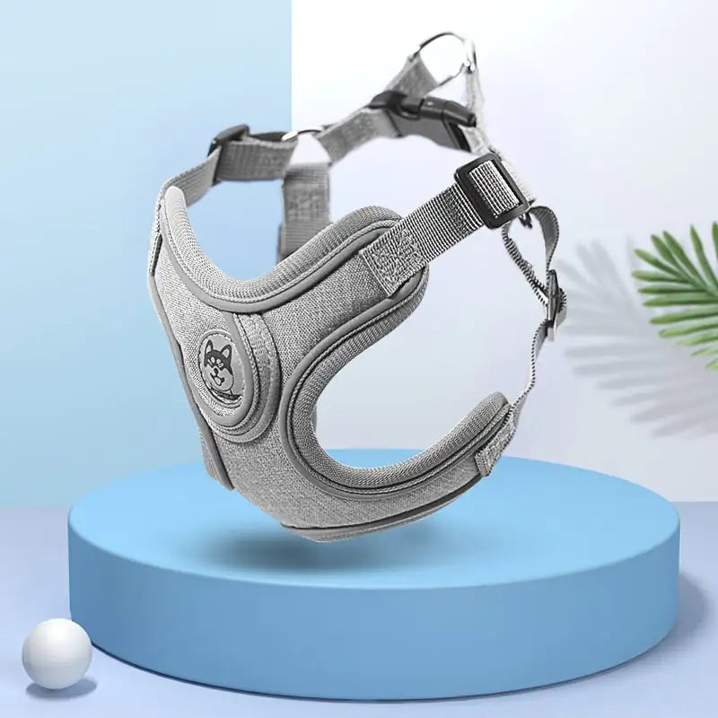 Pet Harness and Leash Set for Small to Medium Dogs