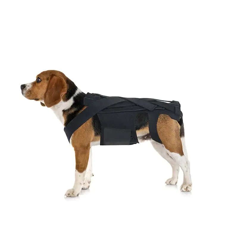 Canine Recovery Vest for IVDD & Arthritis